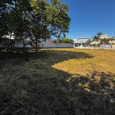 Terrenos Residenciais com 558m², no bairro Ingleses do Rio Vermelho em Florianópolis