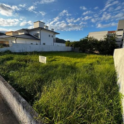 Terrenos Residenciais com 558m², no bairro Ingleses do Rio Vermelho em Florianópolis