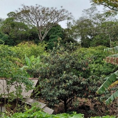 Terreno Comercial/Residencial com 1947m², no bairro Jardim Janaina em Biguaçu