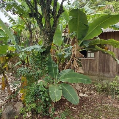 Terreno Comercial/Residencial com 1947m², no bairro Jardim Janaina em Biguaçu