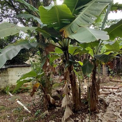 Terreno Comercial/Residencial com 1947m², no bairro Jardim Janaina em Biguaçu