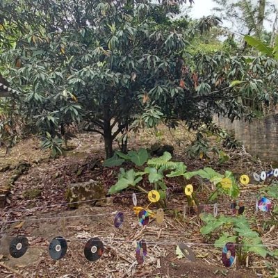 Terreno Comercial/Residencial com 1947m², no bairro Jardim Janaina em Biguaçu