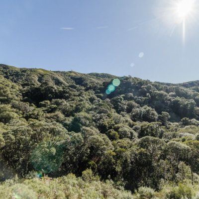 Chalé com 45m², 1 quarto, 1 garagem, no bairro Centro em Anitápolis