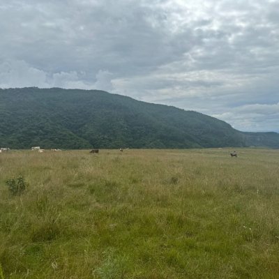 Terreno Comercial/Residencial com 907500m², no bairro Pinheiro Marcado em Bocaína do Sul