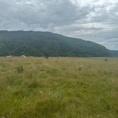 Terreno Comercial/Residencial com 907500m², no bairro Pinheiro Marcado em Bocaína do Sul