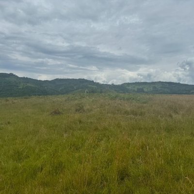 Terreno Comercial/Residencial com 907500m², no bairro Pinheiro Marcado em Bocaína do Sul