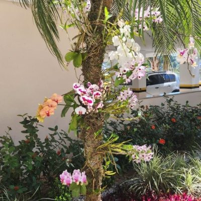 Apartamentos com 62m², 2 quartos, 1 suíte, 1 garagem, no bairro Pantanal em Florianópolis