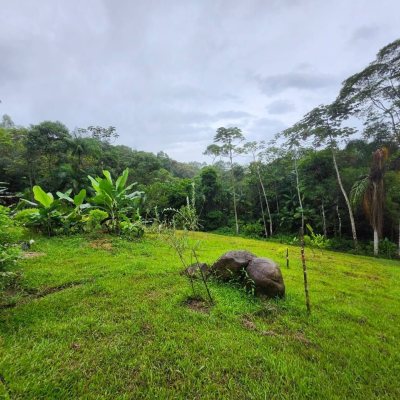 Sitio com 3025m², 1 quarto, 5 garagens, no bairro Loeffelscheidt em Águas Mornas