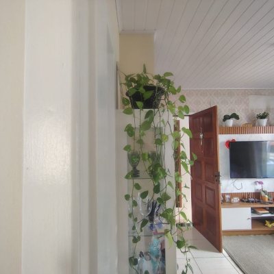 Apartamentos com 53m², 2 quartos, 1 garagem, no bairro Ingleses do Rio Vermelho em Florianópolis