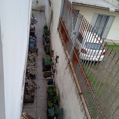 Casa Residencial com 260m², 3 quartos, 1 suíte, 6 garagens, no bairro Nossa Senhora Do Rosário em São José