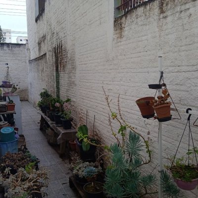 Casa Residencial com 260m², 3 quartos, 1 suíte, 6 garagens, no bairro Nossa Senhora Do Rosário em São José