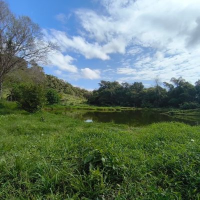 Chacara com 68000m², 6 quartos, 1 suíte, 10 garagens, no bairro Campeche em Florianópolis