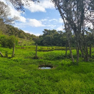 Chacara com 68000m², 6 quartos, 1 suíte, 10 garagens, no bairro Campeche em Florianópolis