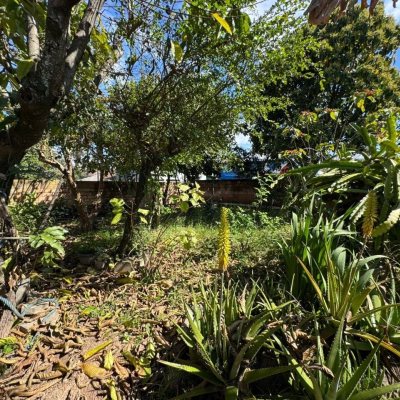 Terreno Comercial/Residencial com 300m², no bairro Jardim Eldorado em Palhoça