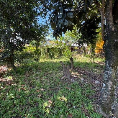 Terreno Comercial/Residencial com 300m², no bairro Jardim Eldorado em Palhoça