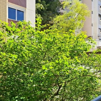 Apartamentos com 65m², 2 quartos, 1 garagem, no bairro Córrego Grande em Florianópolis