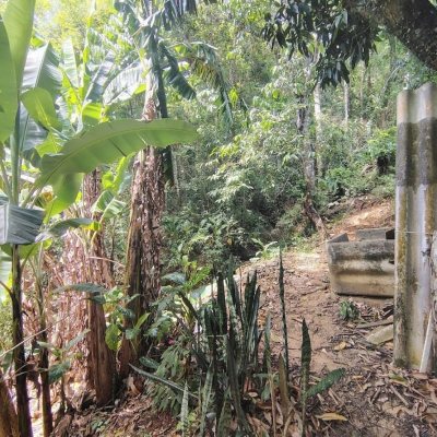 Casa Residencial com 560m², 4 quartos, 1 suíte, 6 garagens, no bairro Monte Verde em Florianópolis