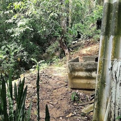 Casa Residencial com 560m², 4 quartos, 1 suíte, 6 garagens, no bairro Monte Verde em Florianópolis