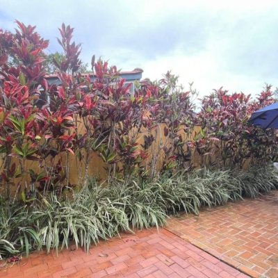 Chalé com 58m², 1 quarto, 1 garagem, no bairro Cachoeira Do Bom Jesus em Florianópolis