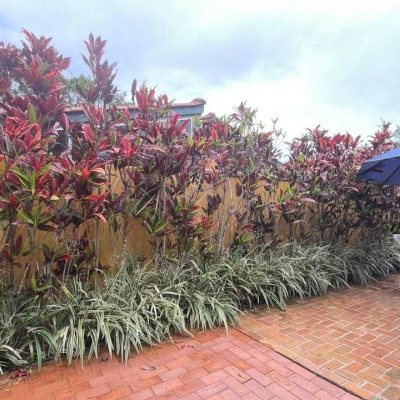 Chalé com 54m², 1 quarto, 1 garagem, no bairro Cachoeira Do Bom Jesus em Florianópolis