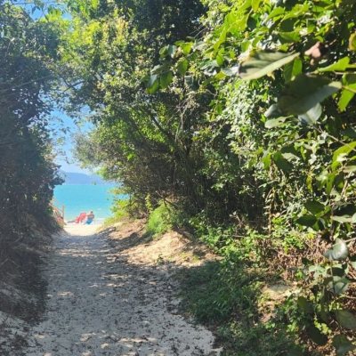 Terreno Comercial/Residencial com 720m², no bairro Daniela em Florianópolis