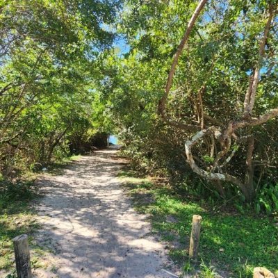 Terreno Comercial/Residencial com 720m², no bairro Daniela em Florianópolis