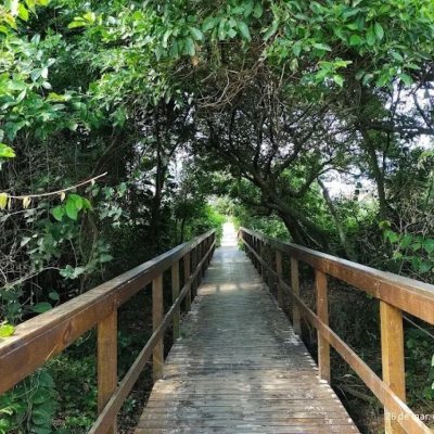 Terreno Comercial/Residencial com 720m², no bairro Daniela em Florianópolis