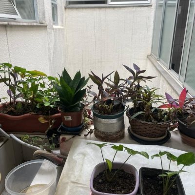 Apartamentos com 101m², 3 quartos, 1 garagem, no bairro Centro em Florianópolis