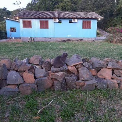 Sitio com 100m², 3 quartos, 1 suíte, 2 garagens, no bairro Vargem Pequena em Florianópolis