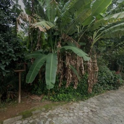 Terrenos Residenciais com 693m², no bairro Carvoeira em Florianópolis