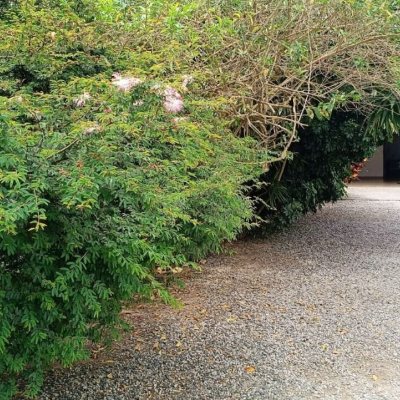 Casa Residencial com 90m², 4 quartos, 2 garagens, no bairro Rio Tavares em Florianópolis