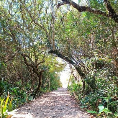 Casa Residencial com 90m², 4 quartos, 2 garagens, no bairro Rio Tavares em Florianópolis