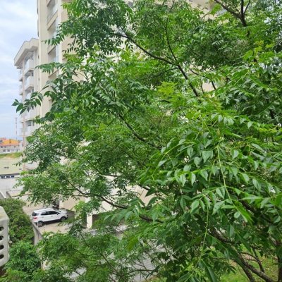 Apartamentos com 53m², 2 quartos, 1 garagem, no bairro Ipiranga em São José