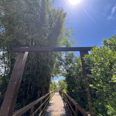 Casa em Condomínio com 185m², 4 quartos, 3 suítes, 2 garagens, no bairro Ponta Das Canas em Florianópolis