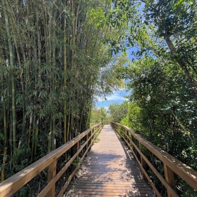 Casa em Condomínio com 185m², 4 quartos, 3 suítes, 2 garagens, no bairro Ponta Das Canas em Florianópolis