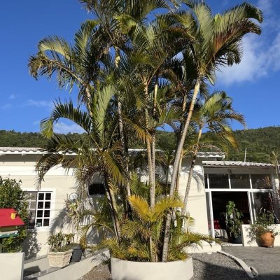 Casa em Condomínio com 185m², 4 quartos, 3 suítes, 2 garagens, no bairro Ponta Das Canas em Florianópolis