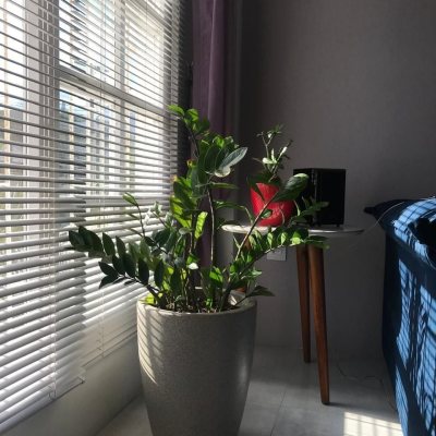 Apartamentos com 84m², 3 quartos, 1 suíte, 1 garagem, no bairro Coqueiros em Florianópolis