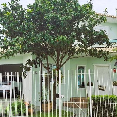 Casa Residencial com 206m², 4 quartos, 3 suítes, 4 garagens, no bairro Ponta De Baixo em São José