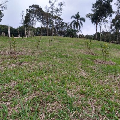 Chacara com 0m², 1 quarto, no bairro Centro em Anitápolis