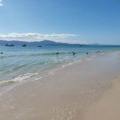 Apartamentos com 104m², 3 quartos, 1 suíte, 2 garagens, no bairro Jurerê em Florianópolis