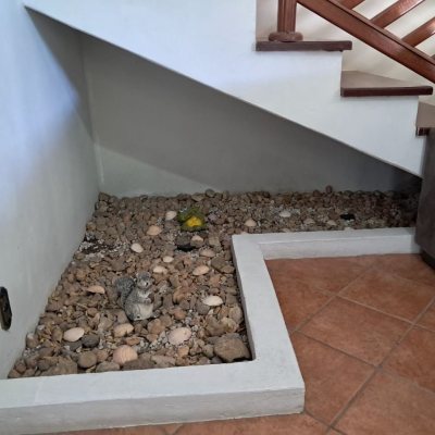 Casa Residencial com 195m², 3 quartos, 1 suíte, 2 garagens, no bairro Campeche em Florianópolis