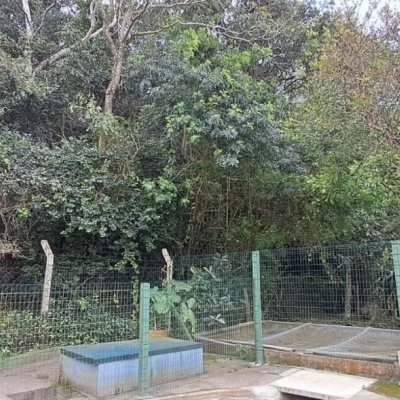 Casa em Condomínio com 200m², 4 quartos, 1 suíte, 3 garagens, no bairro Ingleses do Rio Vermelho em Florianópolis