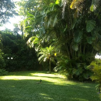 Casa Residencial com 942m², 5 quartos (sendo 5 suítes), 3 garagens, no bairro Jurerê Internacional em Florianópolis