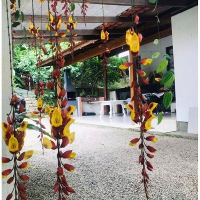 Casa Residencial com 200m², 4 quartos, 3 suítes, 5 garagens, no bairro Jurerê Internacional em Florianópolis