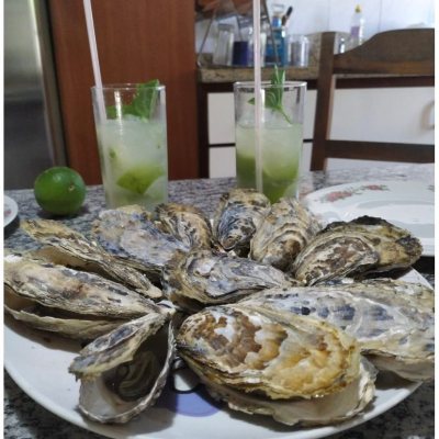 Casa Residencial com 200m², 4 quartos, 3 suítes, 5 garagens, no bairro Jurerê Internacional em Florianópolis