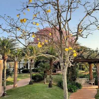 Casa Residencial com 600m², 5 quartos, 5 suítes, 6 garagens, no bairro Jurerê em Florianópolis