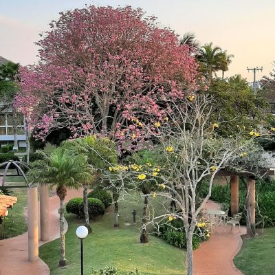 Casa Residencial com 600m², 5 quartos, 5 suítes, 6 garagens, no bairro Jurerê em Florianópolis