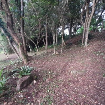 Pousada com 213m², 6 quartos (sendo 1 suíte), no bairro Jurerê Internacional em Florianópolis