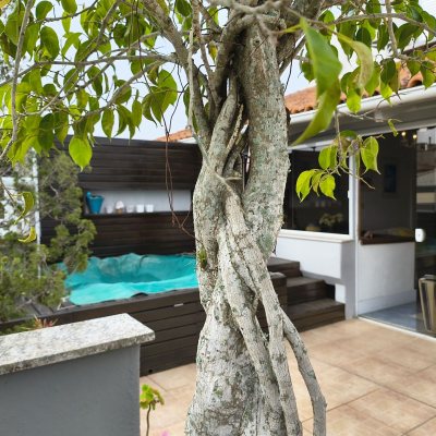 Apartamentos com 186m², 4 quartos, 1 suíte, 2 garagens, no bairro Jurerê Internacional em Florianópolis