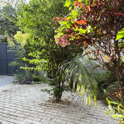 Casa Residencial com 51m², 2 quartos, 1 garagem, no bairro São João Do Rio Vermelho em Florianópolis